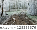 Winter landscape background 128353676
