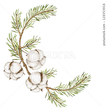 Watercolor illustration of cotton flowers on a pine branch. Rustic botanical winter element for compositions, packaging, textiles, natural gifts, cards. Isolated on white. Watercolor illustration of cotton flowers on a pine branch. Rustic botanical winter element for compositions, packaging, textiles, natural gifts, cards. Isolated on white. 128353918