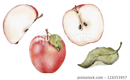 Watercolor red apples, apple slices and leaf isolated on white. Hand painted botanical illustration of red fruit for winter or autumn compositions, cards, prints and fabric design. 128353957