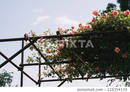 [Izumi Recycle Environment Park] A park where beautiful flowers bloom 128354139