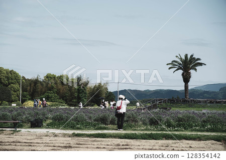 [Izumi Recycle Environment Park] A park where beautiful flowers bloom 128354142