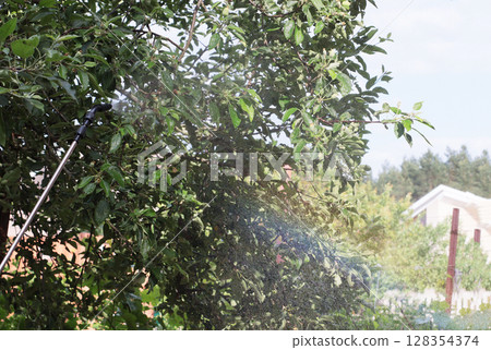 Wide garden view of tree spraying with visible water mist forming a rainbow in the sunlight. Concept of gardening and plant treatment. Bright summer scene with natural colors. 128354374