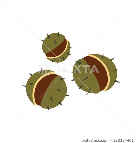 Horse chestnut fruits. Stylized vector illustration in flat style. Botanical autumn illustration for autumn decor, packaging or botanical patterns. 128354401