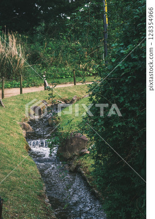 [Hamadera Park Rose Garden] A beautiful stream and a garden with beautiful roses 128354966