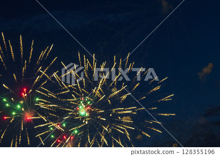 Shot of the fireworks in the night sky 128355196