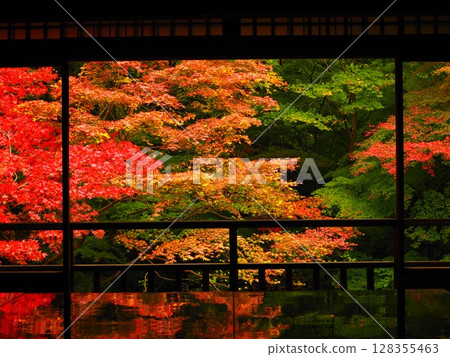 琉璃光院庭院裡的秋葉映照在書桌上 128355463