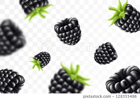 Blackberry background. Flying blackberry with green leaf on transparent background. Blackberry falling from different angles. Focused and blurry objects. 3D realistic vector. Blackberry background. Flying blackberry with green leaf on transparent background. Blackberry falling from different angles. Focused and blurry objects. 3D realistic vector. 128355486
