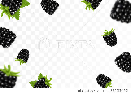 Blackberry background. Flying blackberry with green leaf on transparent background. Blackberry falling from different angles. Focused and blurry objects. 3D realistic vector. 128355492