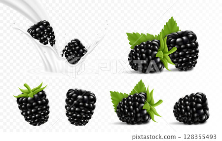 Whole and slice of blackberry. Blackberry in a splash of milk or yogurt, 3d realistic isolated vector set Whole and slice of blackberry. Blackberry in a splash of milk or yogurt, 3d realistic isolated vector set 128355493