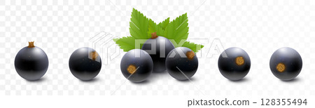 Black currant or blueberries. Realistic 3d vector illustration of berries and green leaves, isolated on white background. 128355494