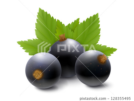 Blackcurrant or blueberry. Realistic 3d vector illustration of berries and green leaves, isolated on white background. 128355495