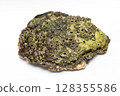 Rock oyster Rock oyster 128355586