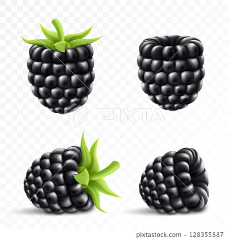 Blackberry. Sweet fruit. Forest berry. 3d vector icons set. Realistic illustration 128355887