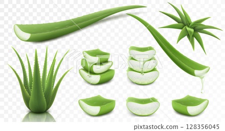 Set of Aloe Vera, isolated on transparent background, 3d vector illustration. Realistic green plant, leaves and cut pieces with juice drops. Essence from aloe vera plant drips from stem. Set of Aloe Vera, isolated on transparent background, 3d vector illustration. Realistic green plant, leaves and cut pieces with juice drops. Essence from aloe vera plant drips from stem. 128356045