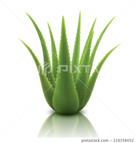 Aloe realistic plant. Template packaging label skin care products design. Green aloe vera, medicine plant, natural cosmetology component, 3d vector illustration, isolated on white background 128356052