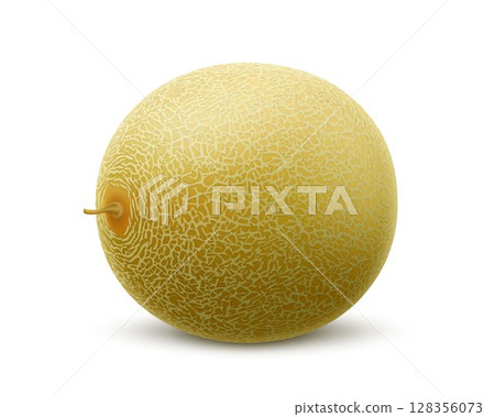 Fresh whole melon fruit isolated on white background. Honeydew melon. Summer fruits for healthy lifestyle. Advertising organic fruit. Realistic 3d Vector illustration for any design. Fresh whole melon fruit isolated on white background. Honeydew melon. Summer fruits for healthy lifestyle. Advertising organic fruit. Realistic 3d Vector illustration for any design. 128356073
