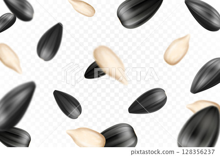 Sunflower seeds isolated seamless vector pattern. Realistic shelled seeds isolated on white background. 128356237