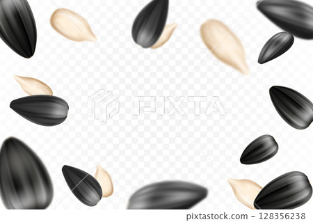 Sunflower seeds isolated seamless vector pattern. Realistic shelled seeds isolated on white background. 128356238