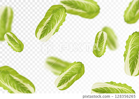 Chinese cabbage background. Flying or falling fresh cabbage isolated on transparent background. Can be used for advertising, packaging, banner, poster, print. Flat design. Vector illustration Chinese cabbage background. Flying or falling fresh cabbage isolated on transparent background. Can be used for advertising, packaging, banner, poster, print. Flat design. Vector illustration 128356265