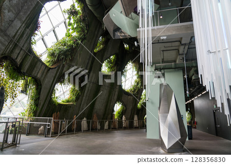 Cloud Forest 128356830