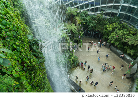 Cloud Forest 128356836