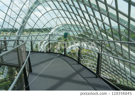 Cloud Forest 128356845