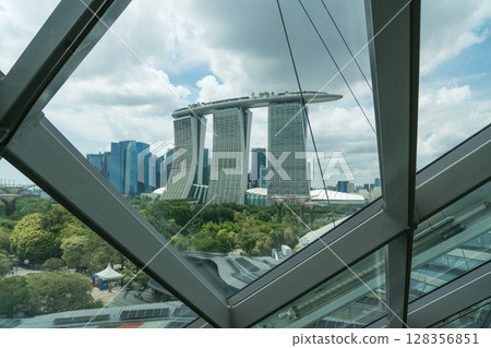 Cloud Forest 128356851