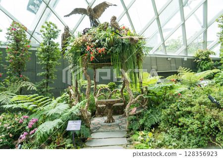 Cloud Forest 128356923