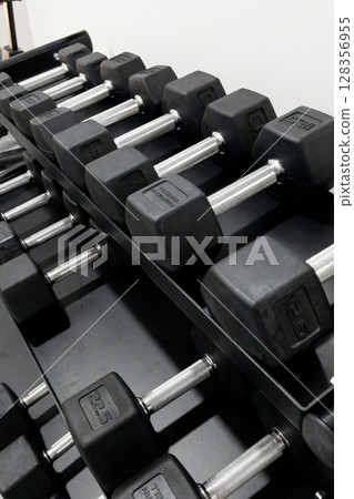 Row of black dumbbells arranged neatly on a rack in a modern fitness gym environment Row of black dumbbells arranged neatly on a rack in a modern fitness gym environment 128356955
