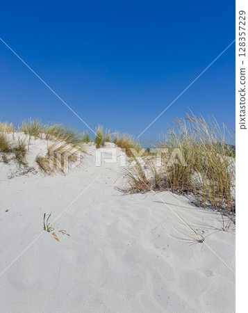 Sand dunes with tufts of green grass under a clear blue sky create a tranquil beachscape. Fine white sand and natural vegetation convey a sense of peace and untouched beauty. 128357229