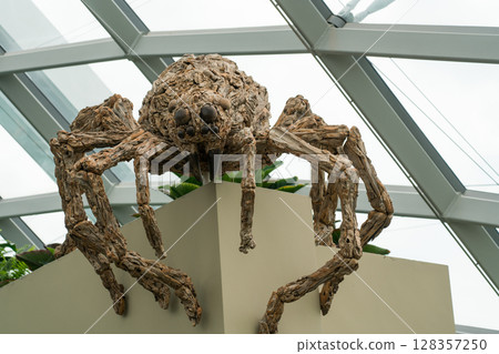 The Lost World of Cloud Forest 128357250