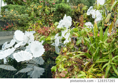 迷失的雲霧森林世界 128357265