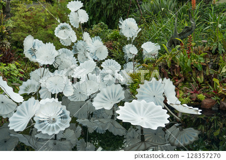 The Lost World of Cloud Forest The Lost World of Cloud Forest 128357270