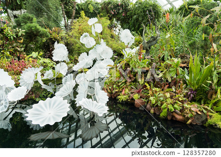 The Lost World of Cloud Forest 128357280