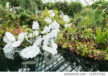 The Lost World of Cloud Forest 128357282