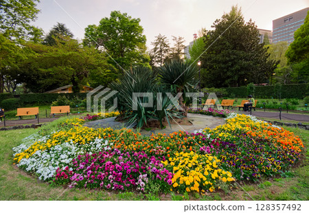 Flower beds in Hibiya Park at dusk Flower beds in Hibiya Park at dusk 128357492