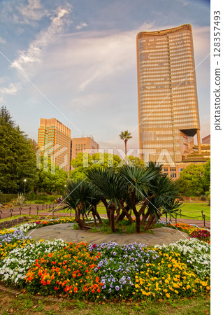 Flower beds in Hibiya Park at dusk Flower beds in Hibiya Park at dusk 128357493