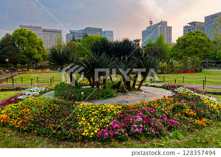 黃昏時分的日比谷公園花壇 128357494