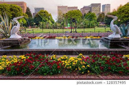 黃昏時分的日比谷公園花壇 黃昏時分的日比谷公園花壇 128357495