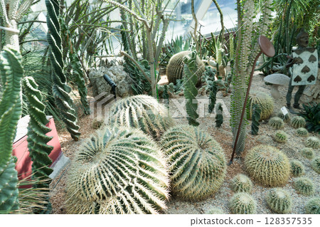 Flower Dome at Gardens by the Bay 128357535