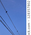A crow on a power line and the sky 128357802