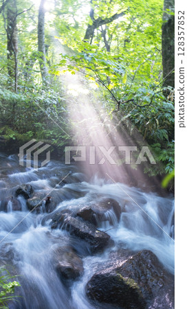 Fresh greenery in the forest, clear streams, and eco-images (Oyamakiyazawa mountain stream) 128357852