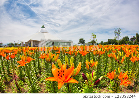 "Yuri no Sato Park" where lilies bloom 128358244