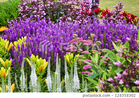 "Yuri no Sato Park" where lilies bloom "Yuri no Sato Park" where lilies bloom 128358302