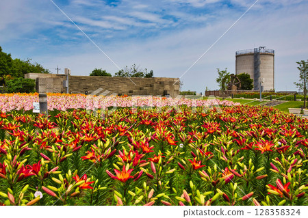 "Yuri no Sato Park" where lilies bloom 128358324