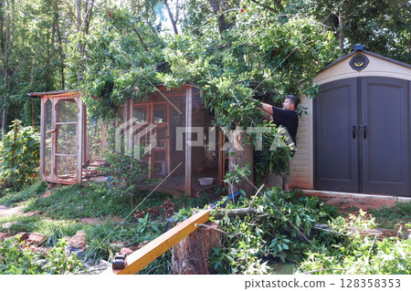 Caretaker clears debris around bird aviary while maintaining garden in sunny weather. 128358353