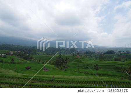 印度尼西亞,世界遺產,巴圖卡魯山蘇巴克景觀,Jatiluwih 水稻梯田 印度尼西亞,世界遺產,巴圖卡魯山蘇巴克景觀,Jatiluwih 水稻梯田 128358378