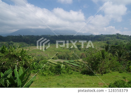 印度尼西亞,世界遺產,巴圖卡魯山蘇巴克景觀,Jatiluwih 水稻梯田 印度尼西亞,世界遺產,巴圖卡魯山蘇巴克景觀,Jatiluwih 水稻梯田 128358379