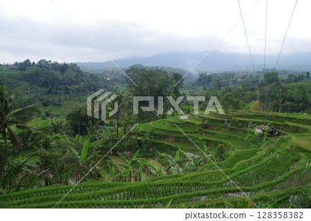印度尼西亞，世界遺產，巴圖卡魯山蘇巴克景觀，Jatiluwih 水稻梯田 128358382