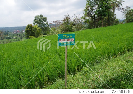 印度尼西亞,世界遺產,巴圖卡魯山蘇巴克景觀,Jatiluwih 水稻梯田 印度尼西亞,世界遺產,巴圖卡魯山蘇巴克景觀,Jatiluwih 水稻梯田 128358396